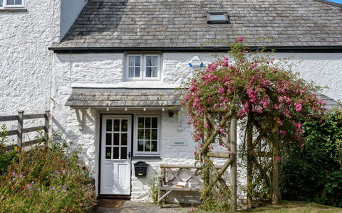Thrift Cottage: Pflanze, Gebäude, Himmel, Fenster, Blume, Wolke, Dachdecken, Haus, Hütte, Tür