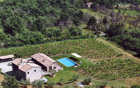 Val D'Orcia: Bergstation, Natürliche Landschaft, Bergdorf, Ländliches Gebiet, Menschliche Siedlung, Landschaft, Dorf, Haus, Vogelperspektive, Baum