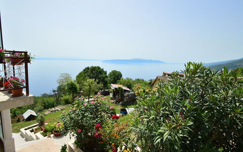 Josip: Vegetation, Eigentum, Urlaub, Botanik, Tourismus, Baum, Grundeigentum, Himmel, Meer, Resort