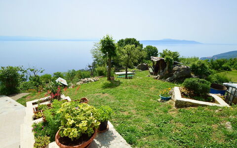 Josip: Vegetation, Eigentum, Grundeigentum, Pflanzengemeinschaft, Grundstueck, Pflanze, Gras, Baum, Ländliches Gebiet, Garten