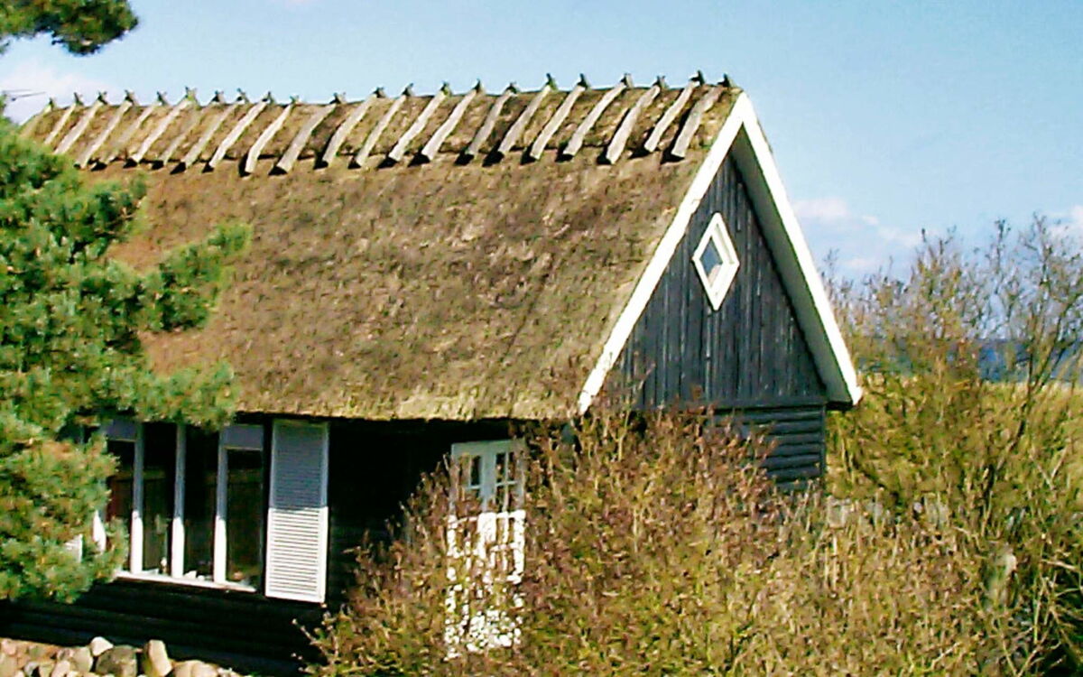 Ulvshale