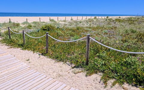 Marenia: Blau, Natürlichen Umgebung, Horizont, Strand, Sommer, Ökoregion, Meer, Küste, Küsten Und Ozeanische Forms, Einfach