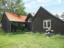 Hårbølle