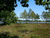 Virksund