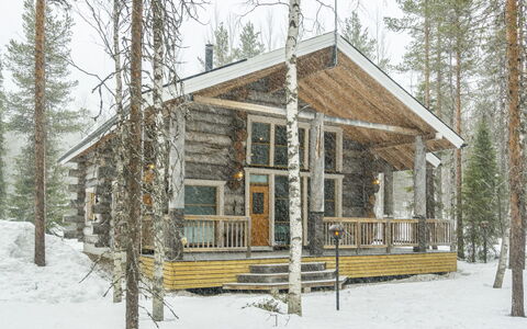 Kotkanpesä: Holz, Hütte, Blockhaus, Wald, Schuppen, Gartenbauten, Lärche, Wald, Holzbeize