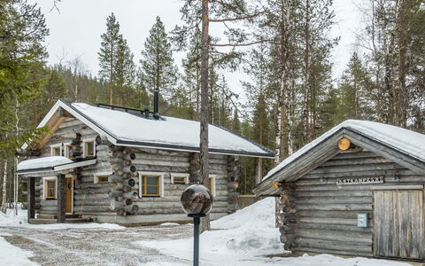Kotkanpesä: Holz, Hütte, Blockhaus, Wald, Schuppen, Gartenbauten, Lärche, Wald, Holzbeize