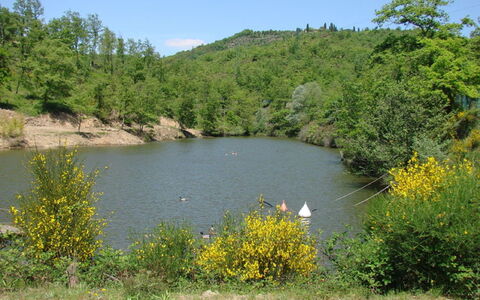Civitella: Gewässer, Wasservorräte, Natürliche Landschaft, Natur, Vegetation, Naturschutzgebiet, Wasser, Bank, See, Natürlichen Umgebung