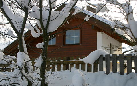 Seekarblick: Gebäude, Schnee, Fenster, Haus, Welt, Pflanze, Zweig, Baum, Holz, Biome
