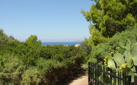 Casa Dei Lentischi: Blatt, Grün, Vegetation, Strauch, Pflanzengemeinschaft, Meer, Ozean, Garten, Shrubland, Immergrün