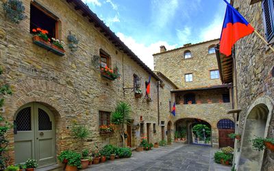 Ciclamini - San Donato, Toskana, Italien - Ciclamini 1