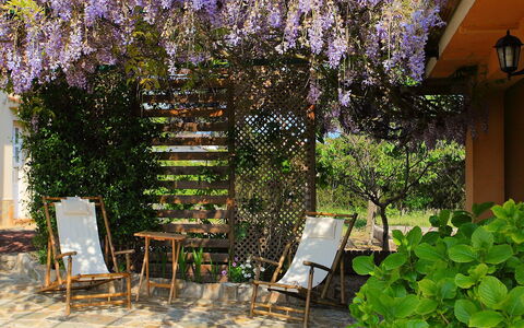 Marina: Terrasse, Eigentum, Baum, Pflanze, Grundeigentum, Garten, Botanik, Frühling, Hof, Blume