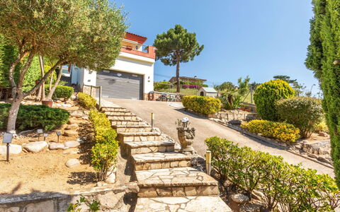 Figaro: Strauch, Garten, Landscaping, Walkway, Auffahrt, Estate, Flagstone, Schatten, Garten