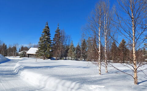 Mukan Maja: Blau, Schnee, Ast, Winter, Baum, Natürlichen Umgebung, Holz, Natürliche Landschaft, Landschaft, Zweig