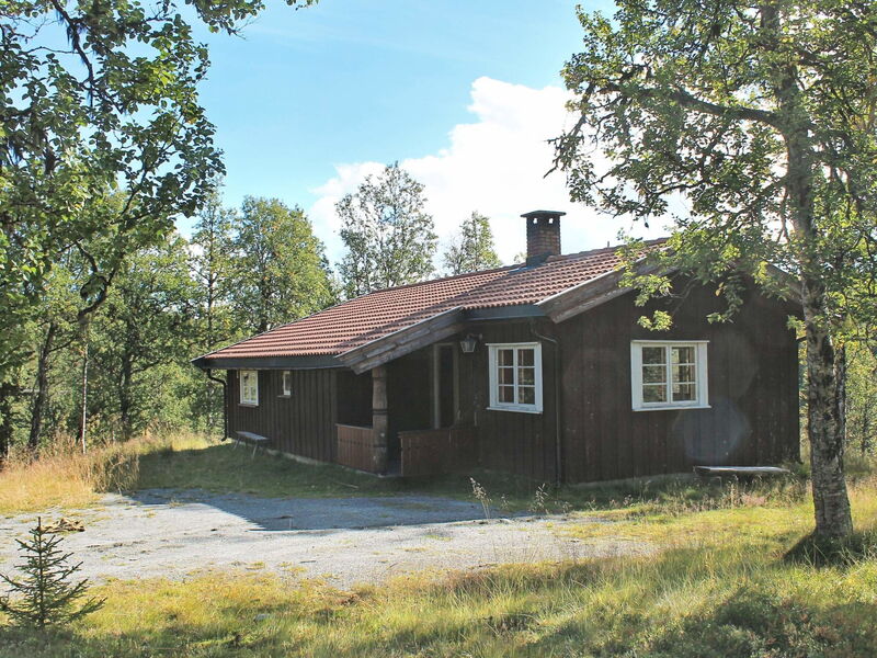 Nesbyen
