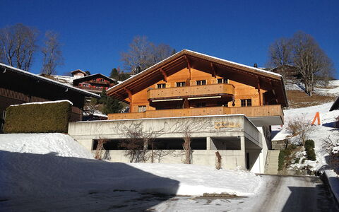 Chalet am Reeti: Himmel, Gebäude, Schnee, Baum, Steigung, Haus, Fenster, Holz, Pflanze, Einfrieren