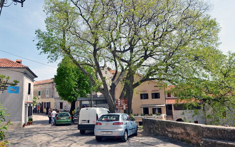 Kristijan: Wohngebiet, Baum, Nachbarschaft, Eigentum, \Stadt, Gehölz, Transport, Pflanze, Vorort, Fahrzeug