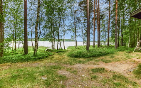 Mäntyranta: Holz, Hütte, Blockhaus, Wald, Schuppen, Gartenbauten, Lärche, Wald, Holzbeize
