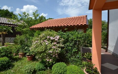 Franjo: Eigentum, Grundeigentum, Garten, Haus, Garten, Botanik, Dach, Pflanze, Hinterhof, Gebäude