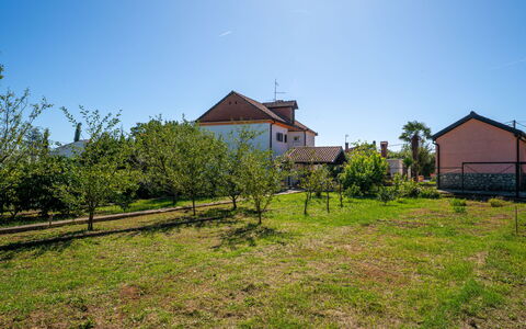 Franjo: Himmel, Haus, Ländliches Gebiet, Einfach, Zuhause, Grundstueck, Dach, Hütte, Feld, Bauernhaus