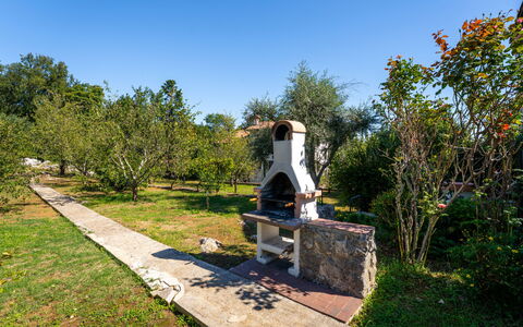Opatija Ika 106: Strauch, Garten, Rasen, Landscaping, Schatten, Garten, Hinterhof, Park