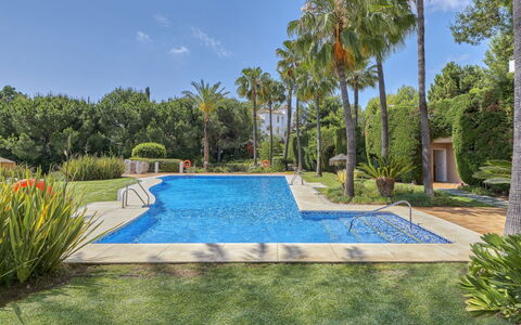 Altos de la Quinta: Pflanze, Himmel, Wasser, Schwimmbad, Baum, Freizeit, Arecales, Wohngebiet, Landschaft, Gras