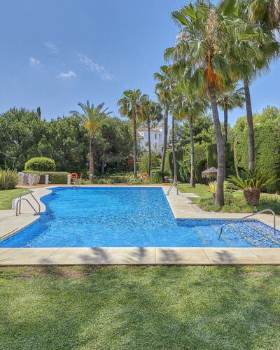 Altos de la Quinta: Pflanze, Himmel, Wasser, Schwimmbad, Baum, Freizeit, Arecales, Wohngebiet, Landschaft, Gras