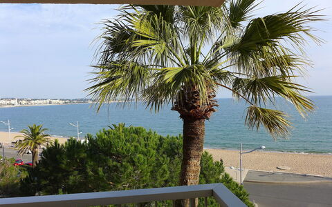 Fréjus 110: Baum, Palme, Arecales, Eigentum, Gehölz, Pflanze, Urlaub, Dattelpalme, Haus, Meer