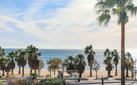 Cap Hermes: Baum, Palme, Arecales, Gehölz, Himmel, Pflanze, Meer, Urlaub, Strand, Ufer