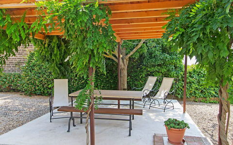 Cinigiano 100: Eigentum, Hinterhof, Möbel, Garten, Garten, Terrasse, Botanik, Pflanze, Baum, Hof