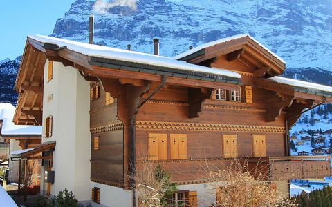 Chalet Cortina: Pflanze, Himmel, Gebäude, Berg, Schnee, Fenster, Blau, Holz, Baum, Haus