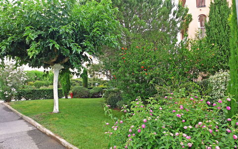 Fréjus 910: Blume, Pflanze, Eigentum, Gebäude, Grün, Natur, Baum, Fenster, Vegetation, Gras