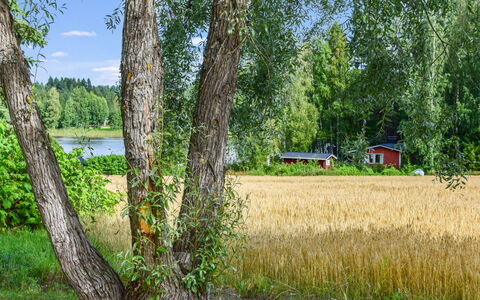 Petäjäniemi: Hütte, Haus, Zuhause, Gartenbauten, Abstellgleis, Blockhaus, Bauernhaus, Estate, Schuppen, Garten