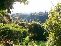 View towards west