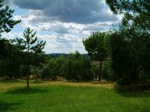 Montechiaro - Torre
