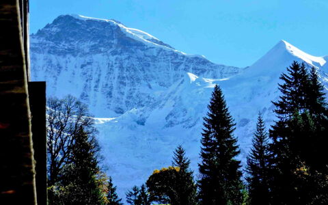 Wengen 11: Himmel, Berg, Schnee, Ökoregion, Welt, Natürliche Landschaft, Baum, Azurblau, Hochland, Lärche