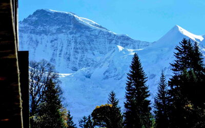 Wengen 11
