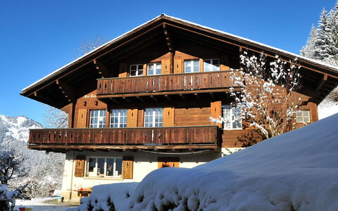 Drei Tannen: Himmel, Gebäude, Schnee, Pflanze, Fenster, Haus, Holz, Baum, Steigung, Lärche