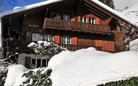 Drei Tannen: Schnee, Winter, Haus, Eigentum, Zuhause, Einfrieren, Gebäude, Dach, Hütte, Grundeigentum