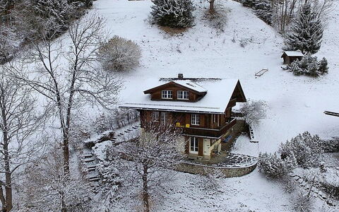 Drei Tannen: Schnee, Winter, Einfrieren, Baum, Frost, Haus, Zuhause, Ast, Gebäude, Landschaft