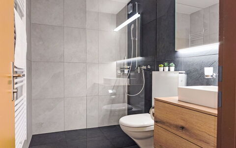 Wengen 19: Flooring, Fussboden, Interior Design, Armatur, Badezimmer, Badezimmerschrank, Toilette, Sinken, Zapfhahn, Installation