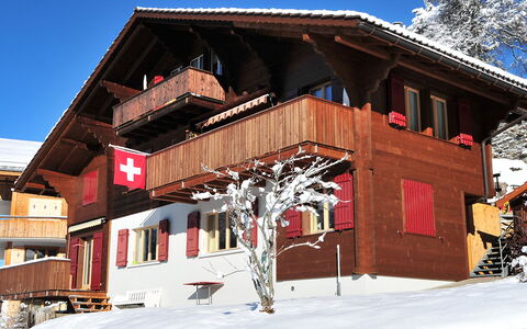 Eigersonne: Gebäude, Himmel, Fenster, Schnee, Steigung, Haus, Holz, Baum, Hütte, Abstellgleis