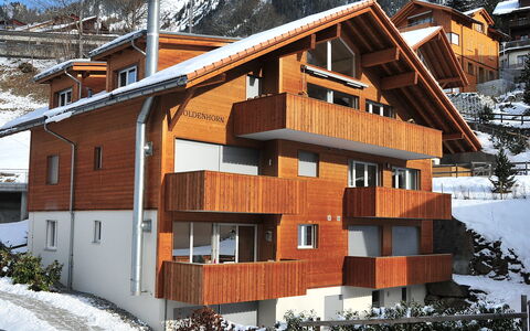 Wengen 22: Schnee, Gebäude, Fenster, Pflanze, Holz, Haus, Baum, Steigung, Biome, Hütte