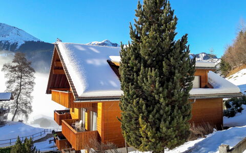 Wengen 22: Himmel, Schnee, Gebäude, Pflanze, Berg, Baum, Lärche, Ast, Haus, Steigung