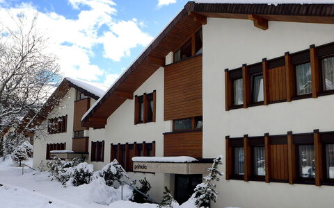 Primula Apt. B: Schnee, Eigentum, Haus, Zuhause, Winter, Gebäude, Wohngebiet, Grundeigentum, Die Architektur, Nachbarschaft