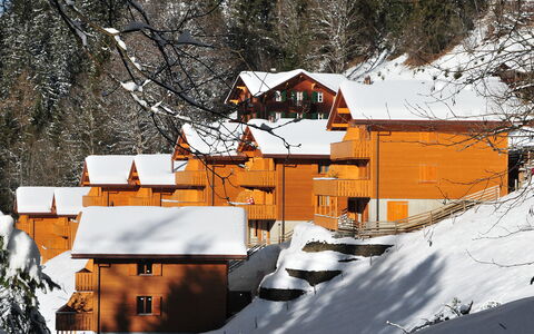 Wengen 34: Gebäude, Schnee, Fenster, Welt, Steigung, Berg, Baum, Haus, Einfrieren, Biome