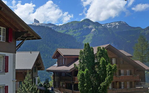 Alpina Apt. Ch: Berg, Bergforms, Bergdorf, Eigentum, Gebirge, Dach, Bergstation, Alpen, Zuhause, Haus