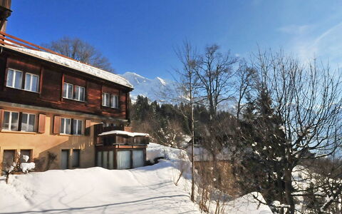 Schweizerhof Apt. S: Schnee, Winter, Himmel, Eigentum, Zuhause, Haus, Baum, \Stadt, Grundeigentum, Gebäude