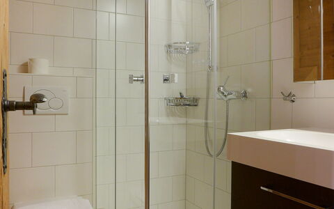 Sulegg Apt. i: Badezimmer, Eigentum, Fliese, Zimmer, Dusche, Zapfhahn, Armatur, Duschpaneel, Wand, Die Architektur