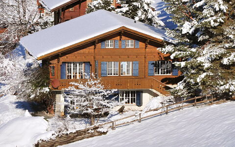 Arche: Schnee, Pflanze, Gebäude, Eigentum, Fenster, Zweig, Baum, Haus, Ast, Steigung