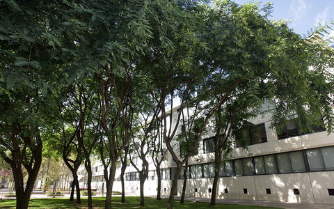 Vila Olimpica Pamplona: Baum, Gehölz, Eigentum, Pflanze, Die Architektur, Haus, Gebäude, Fassade, Urban Design, Stadt